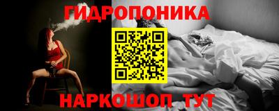 spice Обнинск