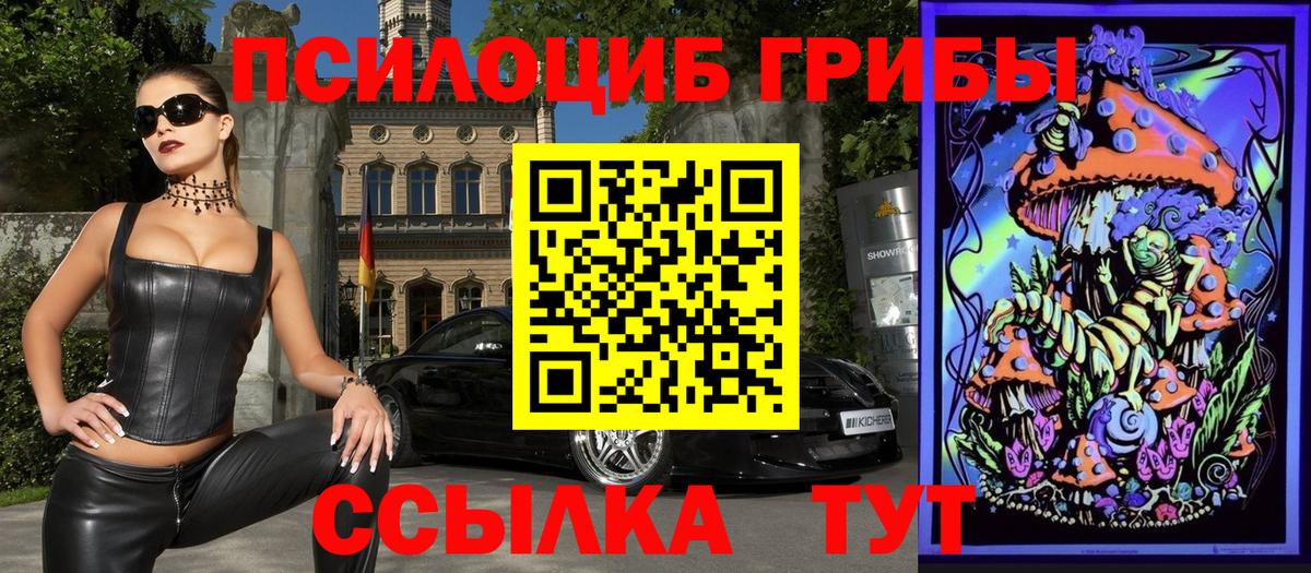 Псилоцибиновые грибы Psilocybe Таганрог