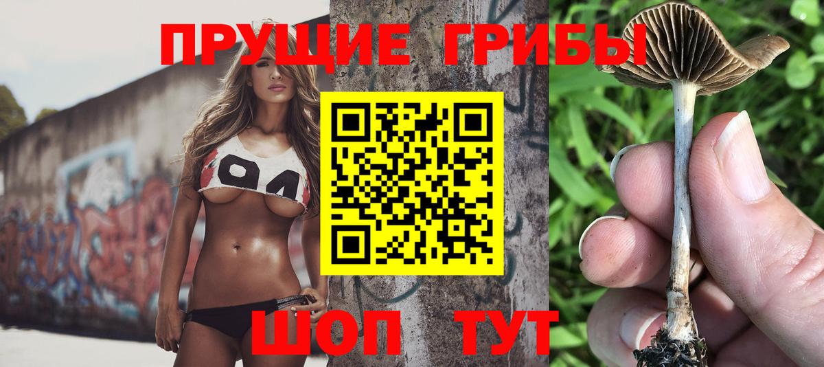 Псилоцибиновые грибы Magic Shrooms  Вход с VPN  купить закладку  Галлюциногенные грибы мухоморы  Таганрог 